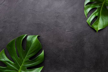 Tropikal yapraklar canavar.