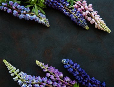 Pembe ve mor acı bakla çiçekler