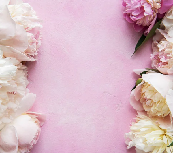 pembe peonies ile arka plan