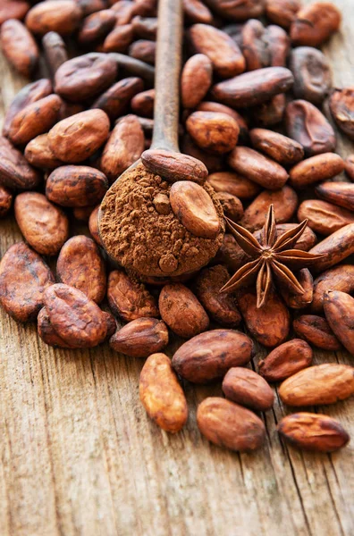 Granos de cacao crudos y cacao en polvo — Foto de Stock