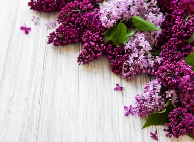 Leylak bahar çiçek sınır