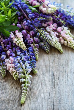 Pembe ve mor acı bakla çiçekler