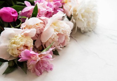pembe peonies ile arka plan