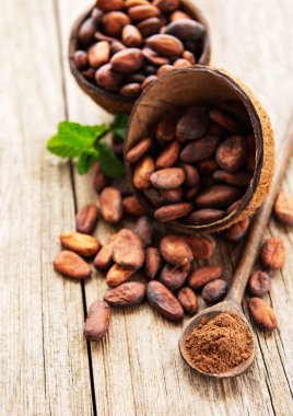 ham kakao çekirdekleri 