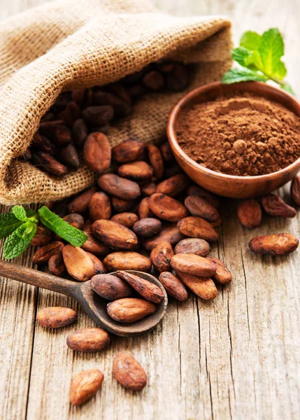 Granos de cacao crudos y cacao en polvo — Foto de Stock