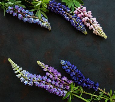 Pembe ve mor acı bakla çiçekler