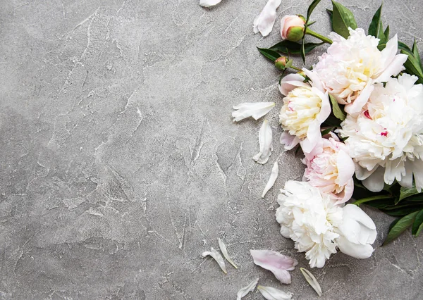 pembe peonies ile arka plan