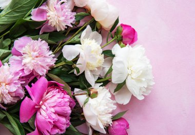 pembe peonies ile arka plan
