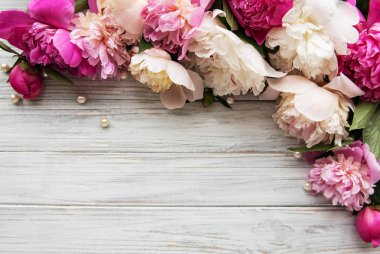 pembe peonies ile arka plan