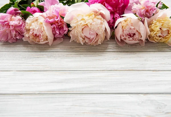 Pembe peonies ile arka plan — Stok fotoğraf