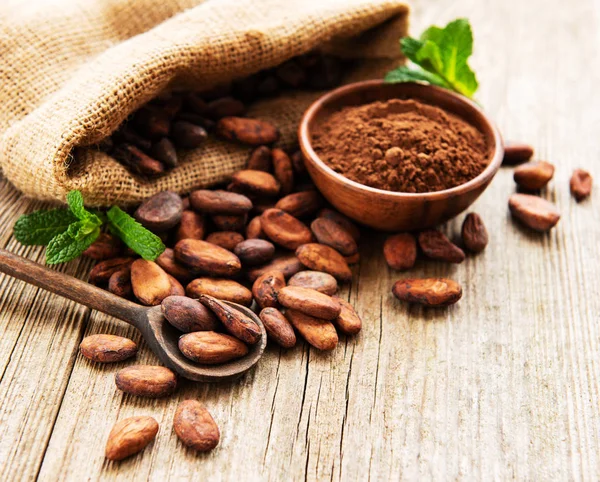 Granos de cacao crudos y cacao en polvo —  Fotos de Stock
