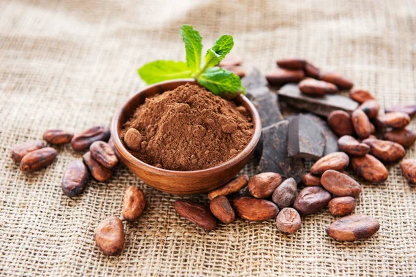 Cocoa powder, chocolate and beans — Stock Photo, Image