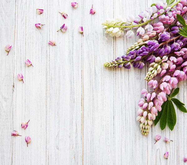 acı bakla pembe çiçekler