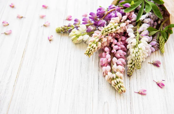 acı bakla pembe çiçekler