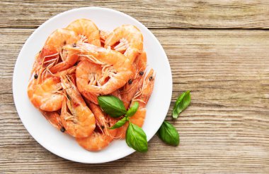 Karidesbir tabaktabaktabak tabaktabak tabaktabak tabaktabak tabaktabak tabak tabak tabak tabak tabak tabak tabak