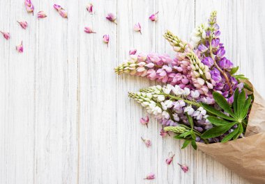 acı bakla pembe çiçekler