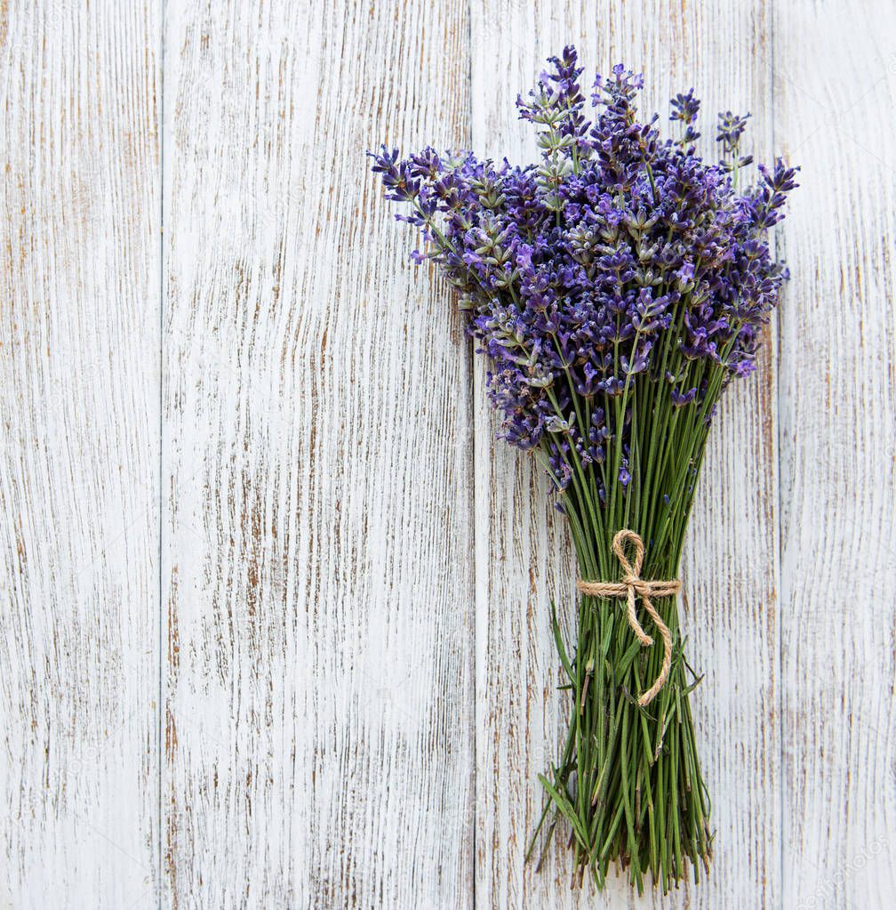 Fresh flowers of lavender
