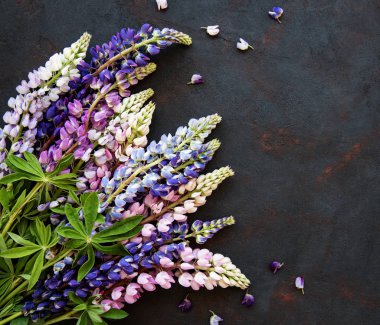 Pembe ve mor acı bakla çiçekler