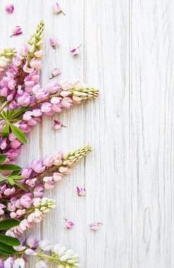 acı bakla pembe çiçekler