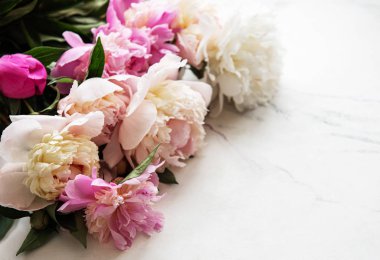 pembe peonies ile arka plan