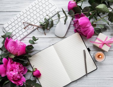 Blogger veya serbest meslek çalışma alanı