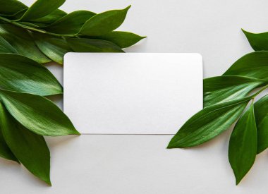 Gri arka planda yeşil yapraklar