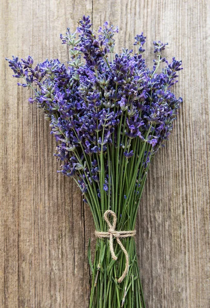 Fresh flowers of lavender — Stock Photo, Image