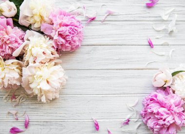 arka plan ile peonies