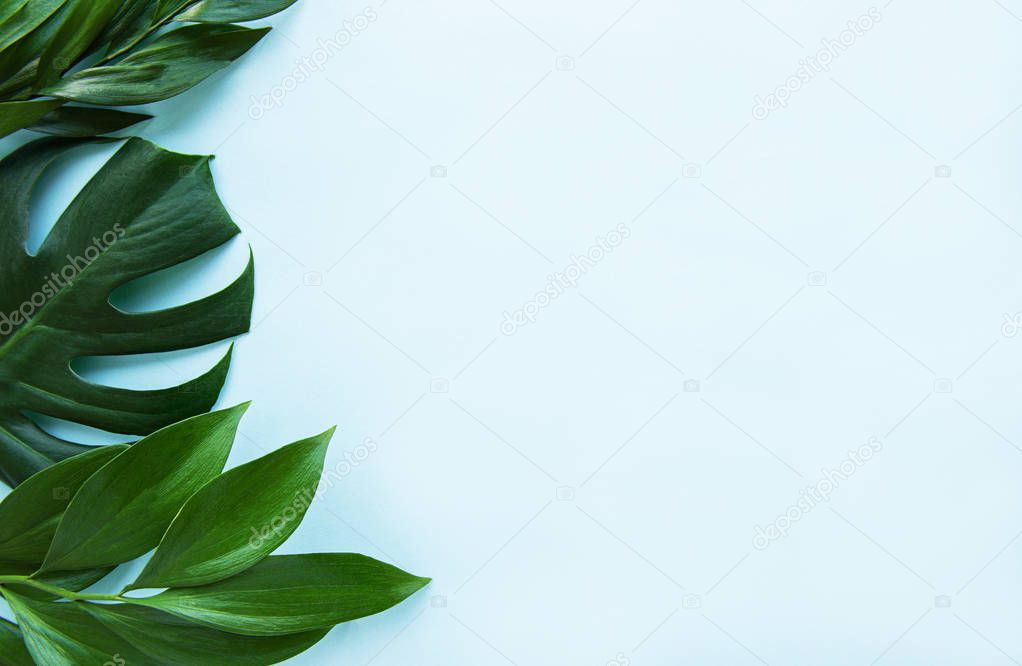 Tropical leaves and monstera leaf