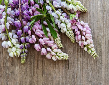 acı bakla pembe çiçekler