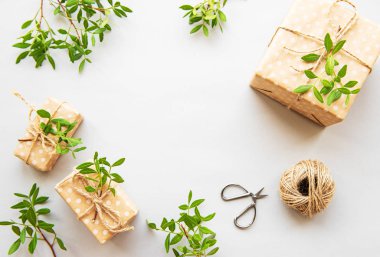 Zanaat kutuları ve yeşil yaprakları