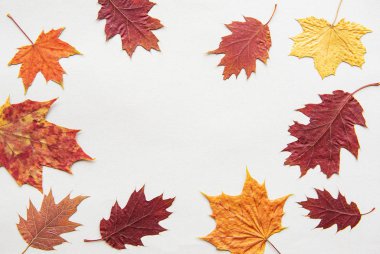 sonbahar kompozisyon