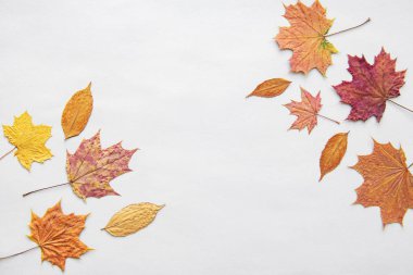 sonbahar kompozisyon