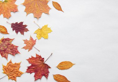 sonbahar kompozisyon