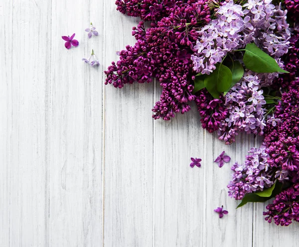 Lilac spring flower border — Stock Photo, Image