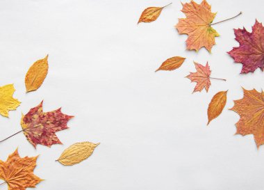 sonbahar kompozisyon