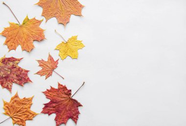 sonbahar kompozisyon