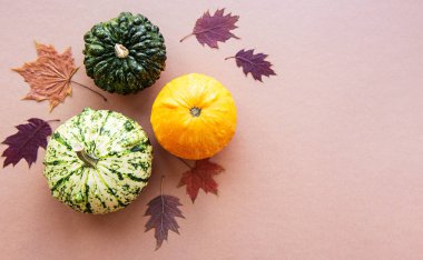Açık kahverengi arkaplanda balkabakları