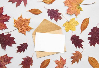 sonbahar kompozisyon