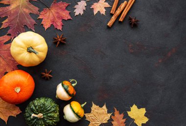 Siyah arkaplanda balkabakları