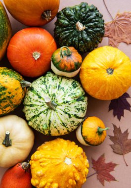 Açık kahverengi arkaplanda balkabakları