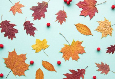 yaprakları ile sonbahar kompozisyon