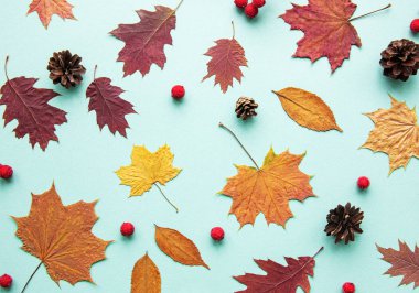 yaprakları ile sonbahar kompozisyon