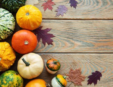 Tahta masadaki balkabakları