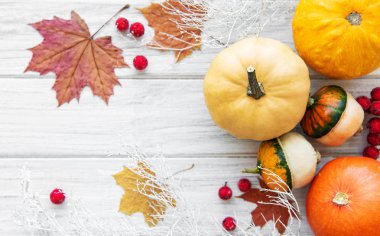 Tahta masadaki balkabakları