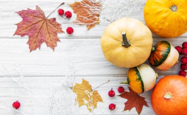 Tahta masadaki balkabakları