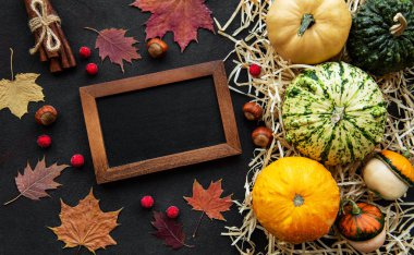 Siyah arkaplanda balkabakları