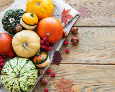 Tahta masadaki balkabakları