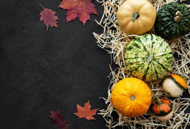 Siyah arkaplanda balkabakları