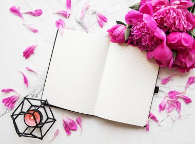 Blogger veya serbest meslek çalışma alanı